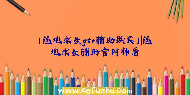 「绝地求生gtr辅助购买」|绝地求生辅助官网神盾